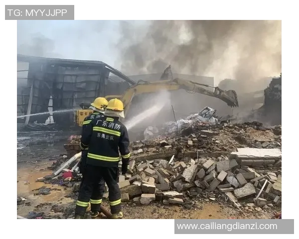 福建豹发力与广东东莞火灾事件引发广泛关注与讨论 福建豹发力与广东东莞火灾事件引发广泛关注与讨论